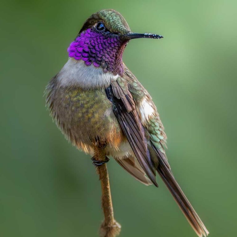 concurso-fotografia-carrusel2