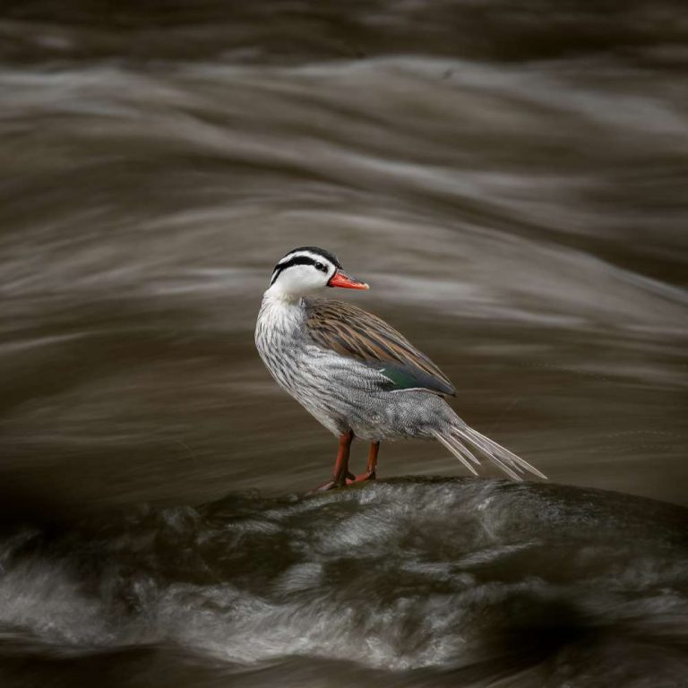 concurso-fotografia-carrusel3