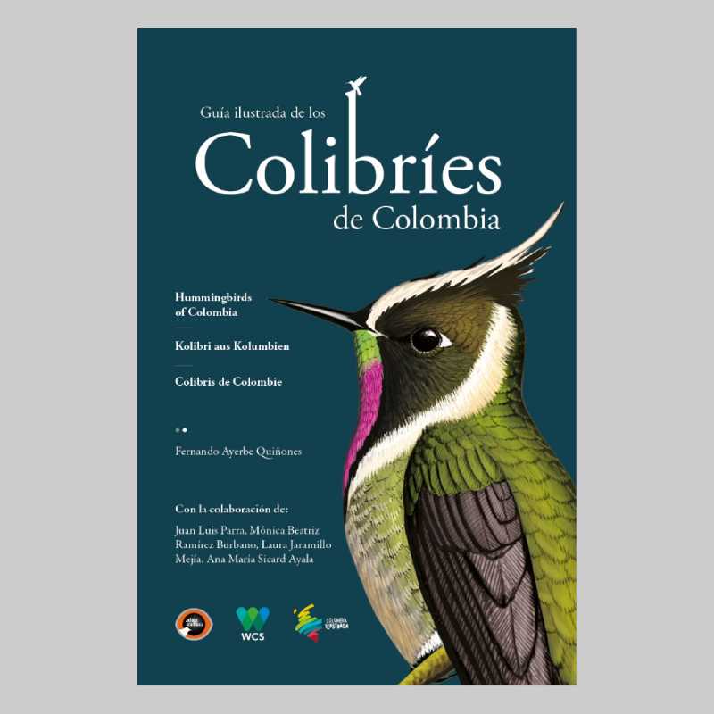 Guía ilustrada de colibríes de Colombia
