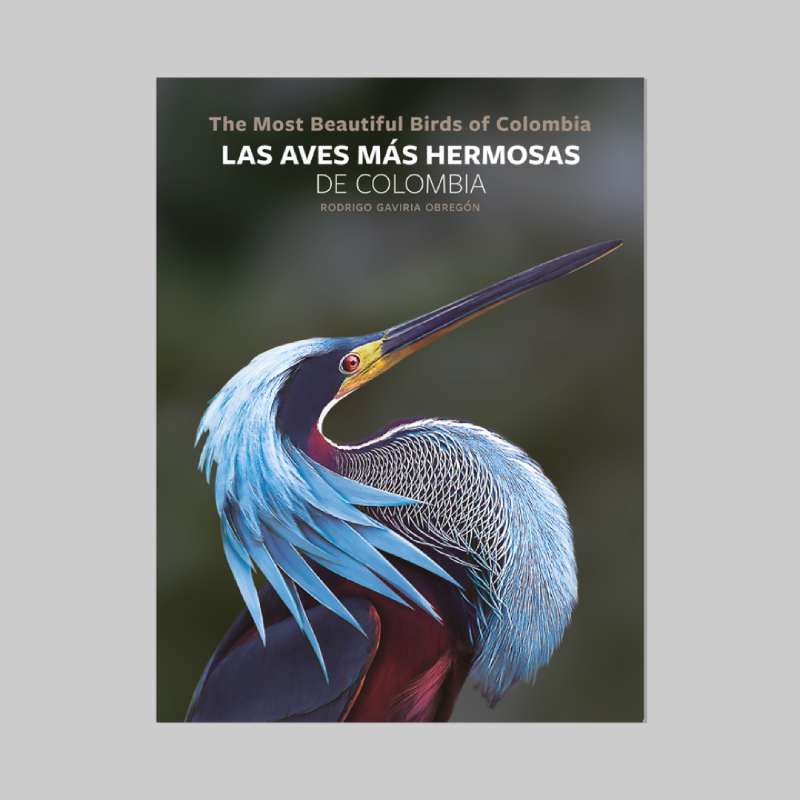 Las Aves más hermosas de Colombia / The most beautiful birds of Colombia